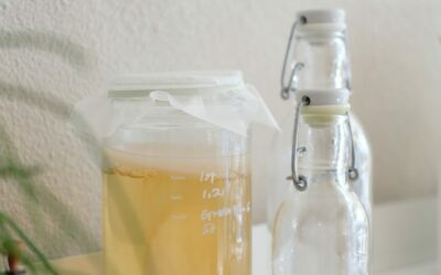 Les Boissons sans alcool fermentées : Kéfir, Kombucha et autres options naturelles