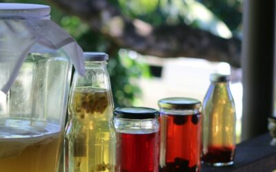 Pourquoi choisir des boissons sans alcool : Bienfaits pour la santé et alternatives responsables