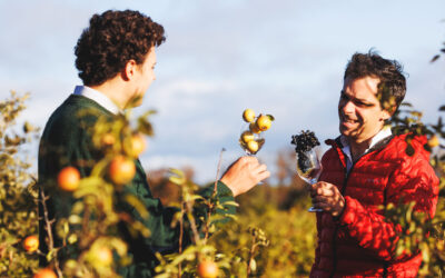 Famille Fabre ou l’art de se mettre à la création de boissons sans alcool